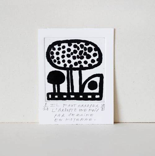 Image of Il faut arroser l’arbuste une fois par semaine en moyenne