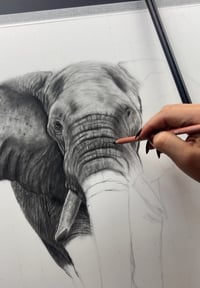 Image 5 of “Grounded Power” Original art