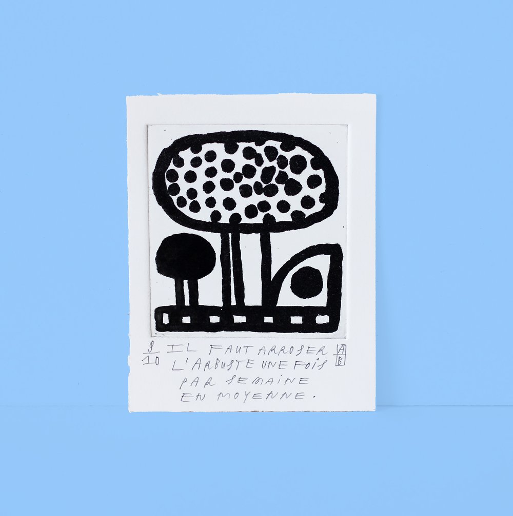 Image of Il faut arroser l’arbuste une fois par semaine en moyenne