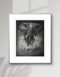 Image 6 of “Grounded power” giclee fine art print 2025