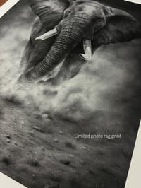 Image 2 of “Grounded power” giclee fine art print 2025