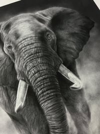 Image 5 of “Grounded power” giclee fine art print 2025