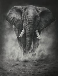 Image 1 of “Grounded power” giclee fine art print 2025