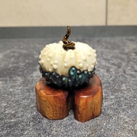 Image 1 of XL. Seaside Pumpkin - Flamework glass sculpture