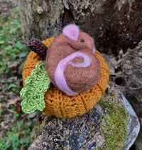 Pumpkin Mouse 