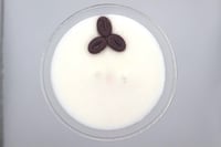 Image 3 of Coffee Crush