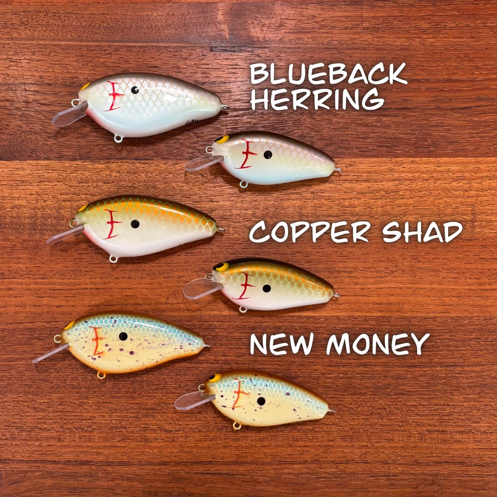 2025 Epic Shad & Epic JR. Combo Set - Image 2