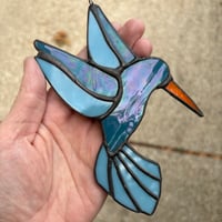 Blue hummingbird 