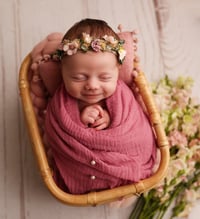 Image 5 of Newborn MINI SESSION (baby ONLY - or family ONLY ) 350$