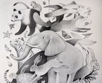 Image 2 of Original Biodiversidad