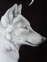 Image 2 of Original Lupus
