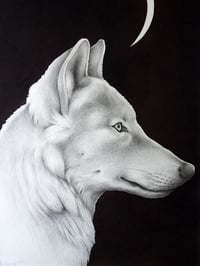 Image 1 of Original Lupus