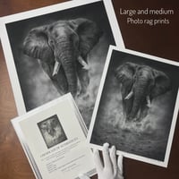 Image 3 of “Grounded power” giclee fine art print 2025