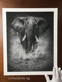 Image 4 of “Grounded power” giclee fine art print 2025