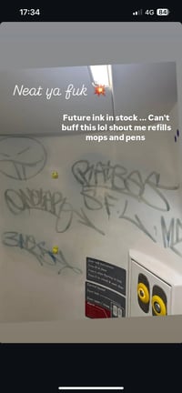 Image 3 of 250ml FUTURE AND MOP