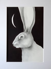 Image 3 of Original Lepus