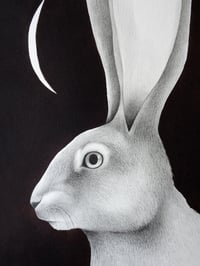 Image 2 of Original Lepus