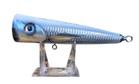 Image 1 of 80g  White, Silver Sides Conehead Popper 