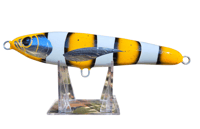 Image 1 of 60g Orange Nemo Floating Stick Bait 