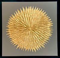 Image 3 of Solar Flora