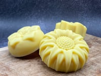 Image 1 of Bare Blossom