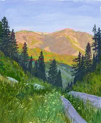 On the Way to Bear Meadow