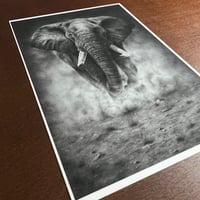 Image 2 of “Grounded power” mini matted print 