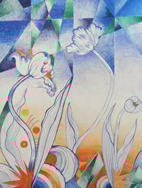 Image 2 of Lifecycle 