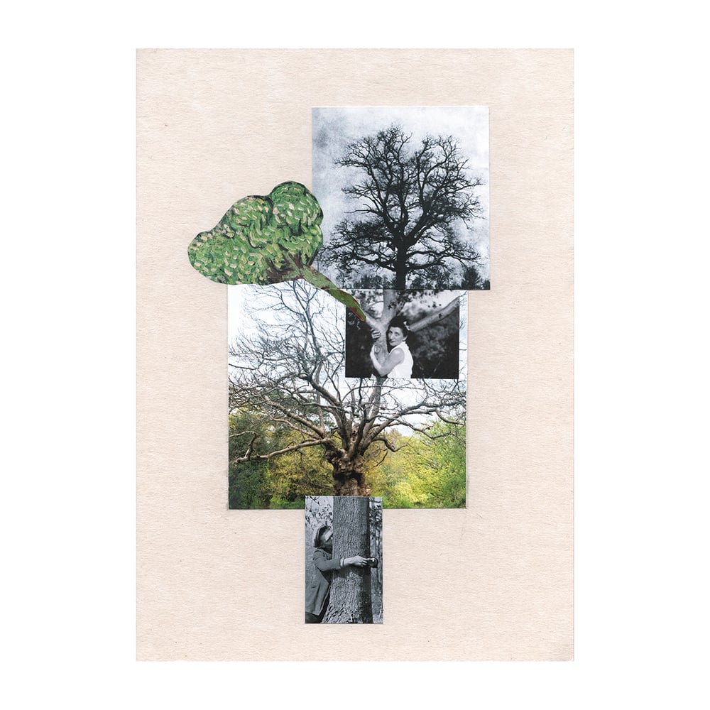 Image of everything is so very much connected, Roelof Bakker and Sarah Bodman