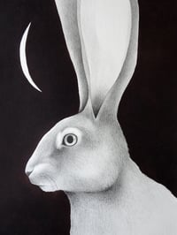 Image 1 of Original Lepus