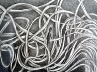 Image 4 of Rise & Fall