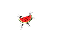 Image 1 of Fruit Fairies 