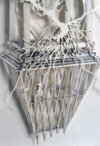 Image 5 of Symbiosis