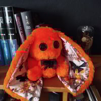 Image 1 of Conejito naranja black butterfly