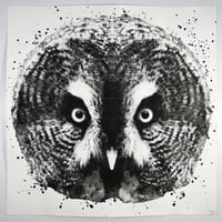 JUSSI TWOSEVEN: Strix Nebulosa no.2 [6/20]