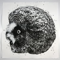 JUSSI TWOSEVEN: Strix Nebulosa no.1 [3/20]