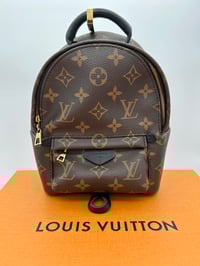 Image 1 of Louis Vuitton Monogram Palm Springs Mini