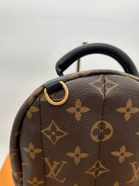 Image 11 of Louis Vuitton Monogram Palm Springs Mini