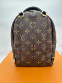 Image 10 of Louis Vuitton Monogram Palm Springs Mini