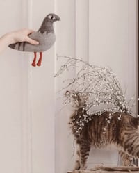 Image 4 of DOUDOU PIGEON