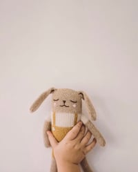Image 3 of DOUDOU LAPIN