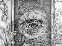 Image 5 of Through the Looking Glass