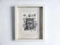 Image 1 of Through the Looking Glass