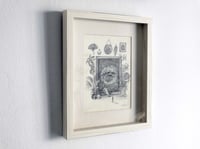 Image 3 of Through the Looking Glass