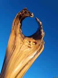 Image 3 of Embracing Empty