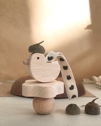 Image 4 of HOCHET MINUS canard