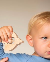 Image 3 of HOCHET MUSCH