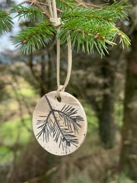 Image 5 of Douglas Fir Decoration