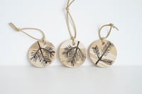 Image 2 of Douglas Fir Decoration