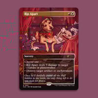 Image 1 of Rip Apart AP